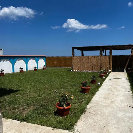 Pensiunea Casa Alba Maison d'hôtes