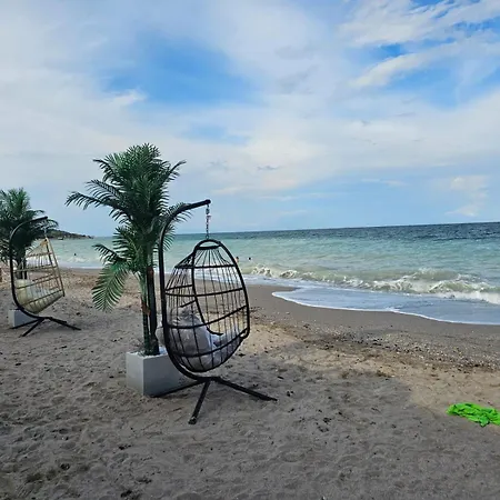 Pensiunea Casa Alba Maison d'hôtes Tuzla