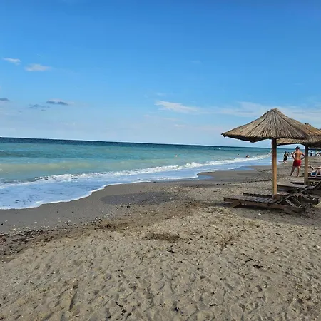 Pensiunea Casa Alba Guest house *